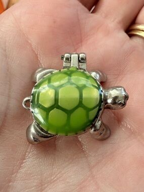 GANZ Lucky Little Turtle Wish Box Charm